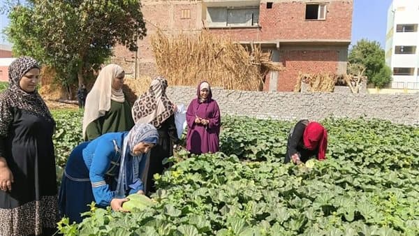 مزارعو الصعيد يستفيدون من المدارس الحقلية