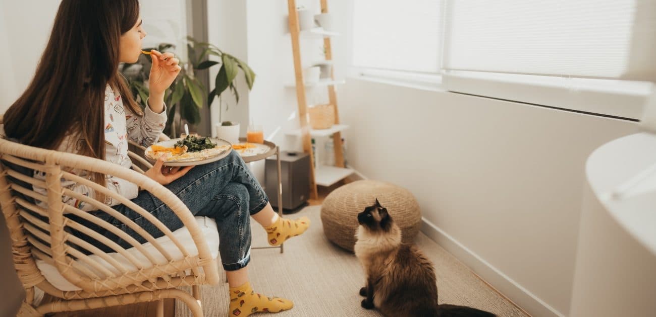 Risks of raising cats at home and prevention tips
