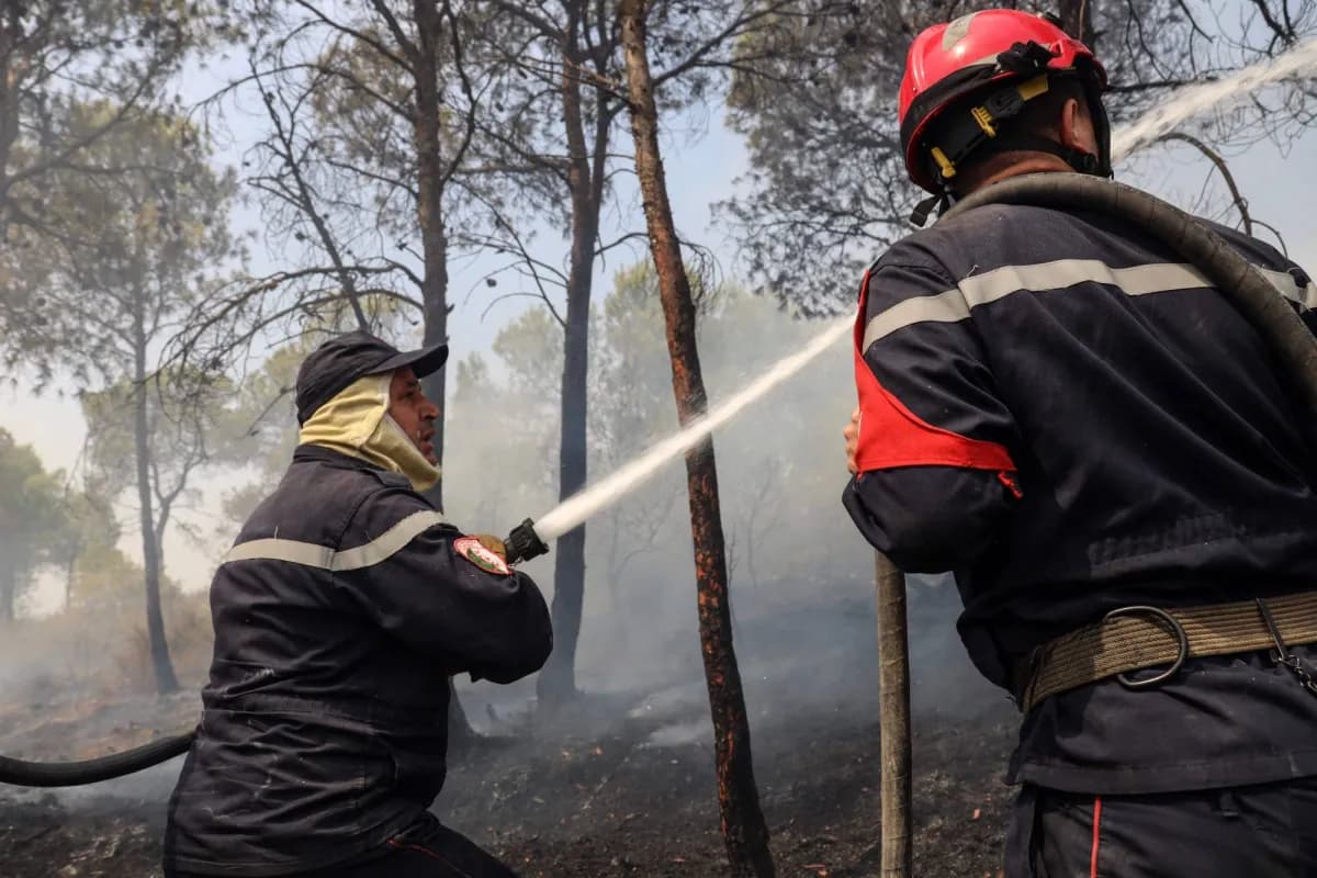 Algeria: Four detained over forest fires