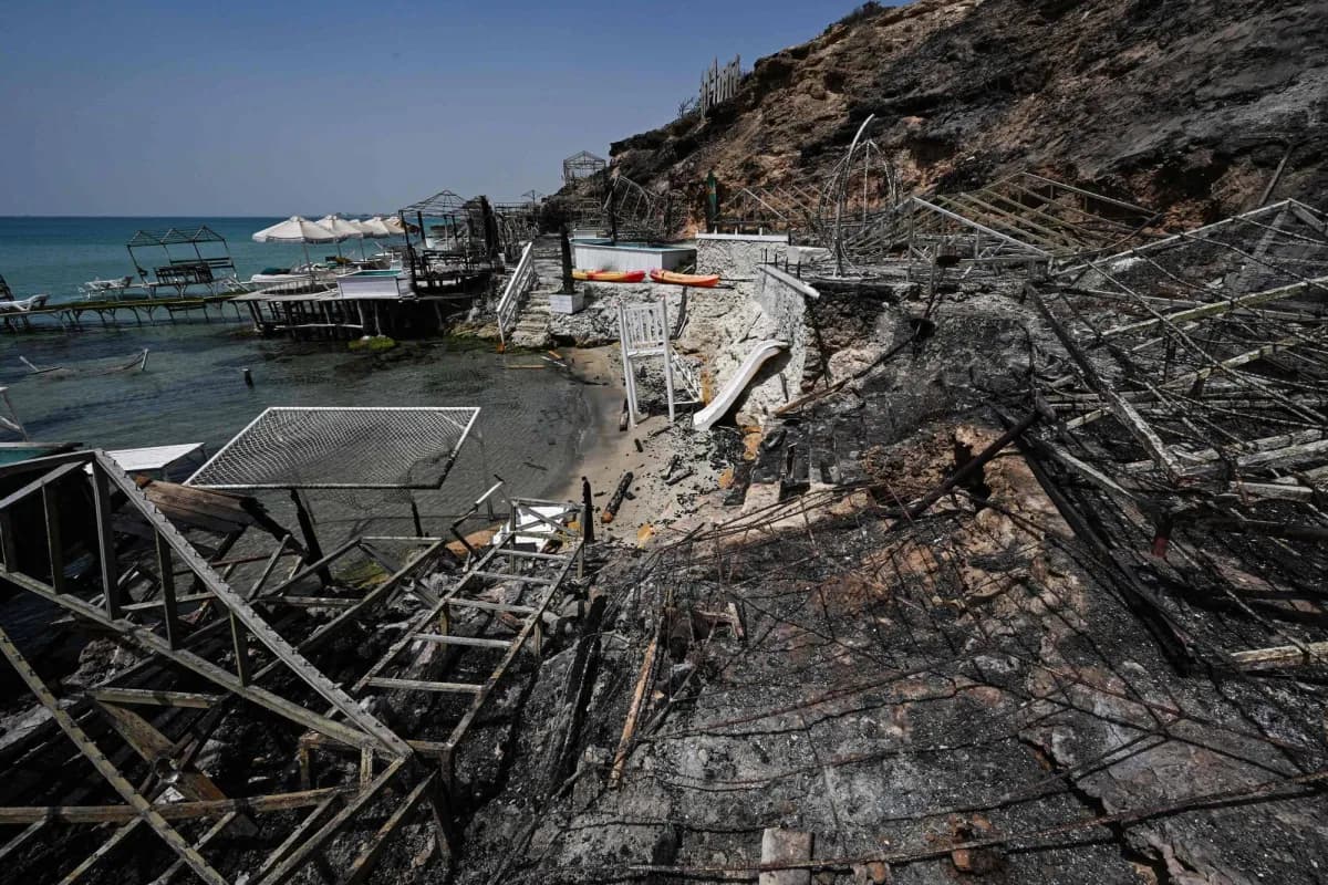 Wildfires burn Long Mountain forests