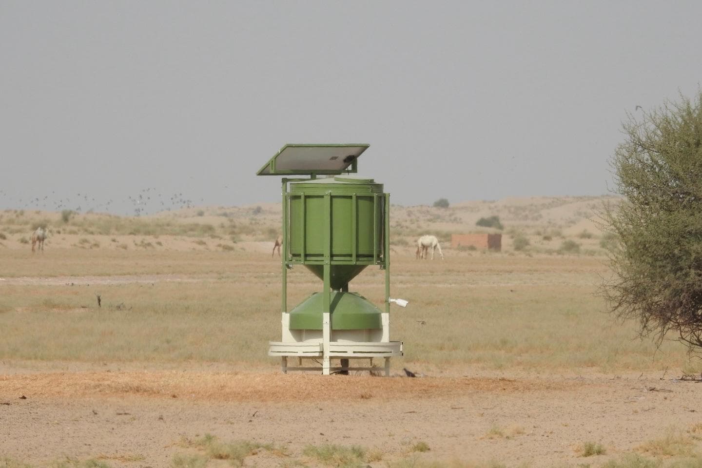 Emirati AI Innovation for Wildlife Protection