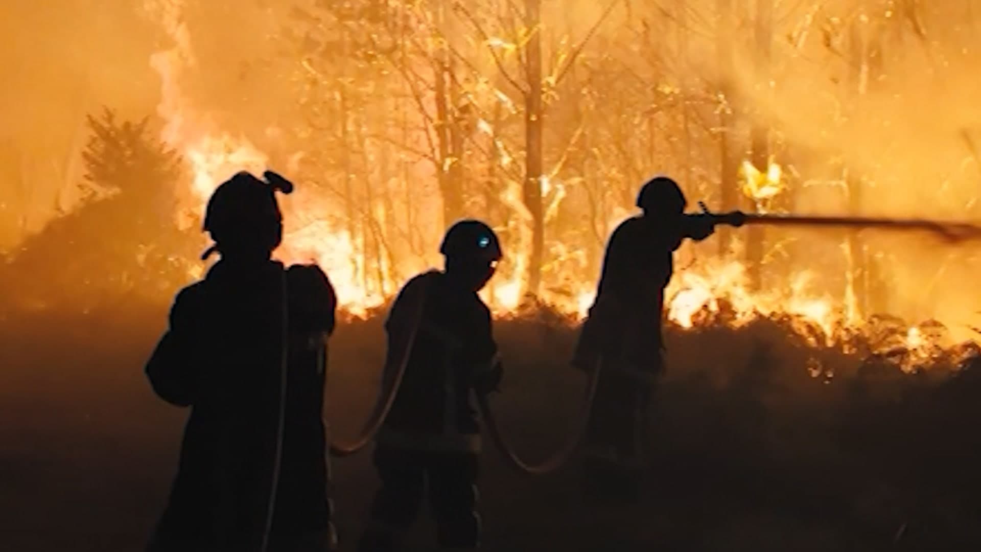 Forest fires spread over France due to heavy smoke