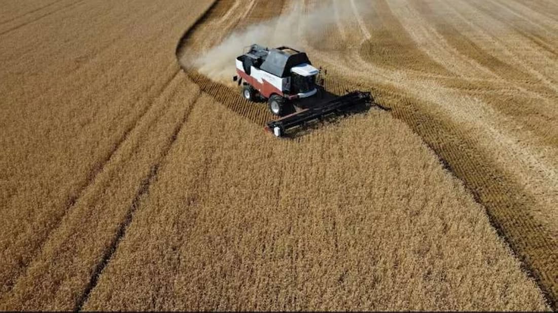 Fuel crisis and Sea of Azov attacks increase pressure on Russian farmers