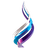 صدى البلد
