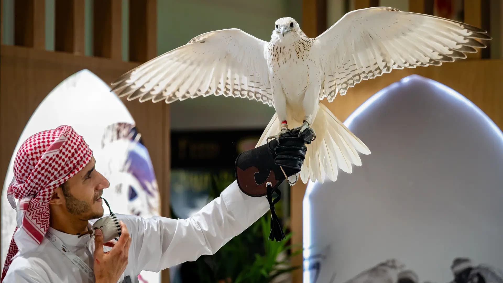 ADNEC Readies for 2026 Hunting and Equestrian Show