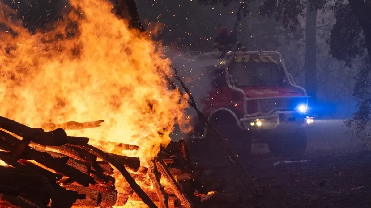 Fires in France Burn 98,000 Hectares