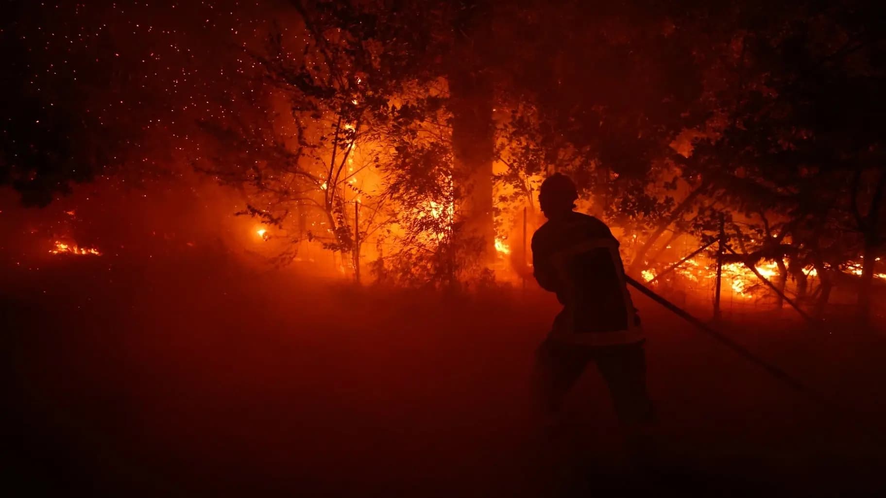 France seeks EU help for wildfires