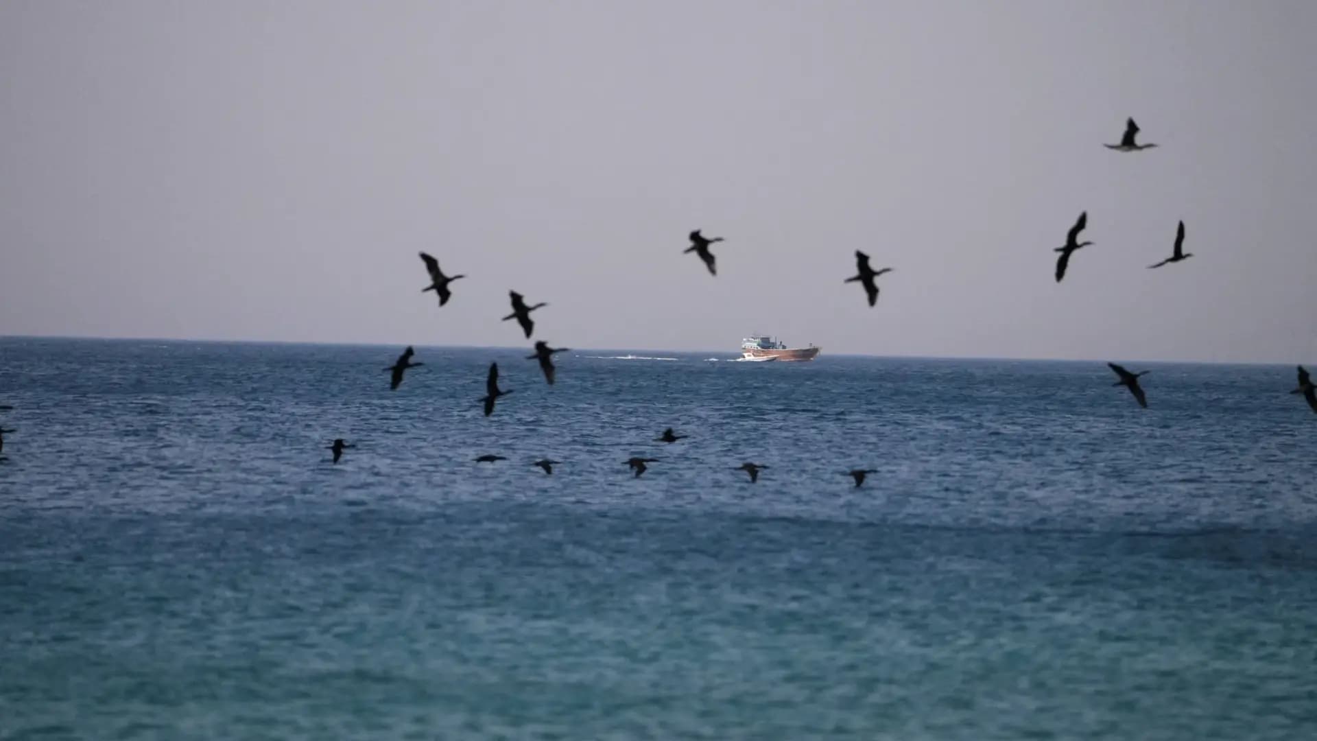40 countries back efforts to safeguard Strait of Hormuz