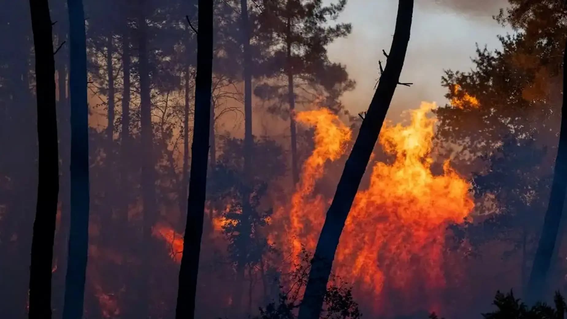 Europe Burned by Fires Evacuation of 300,000