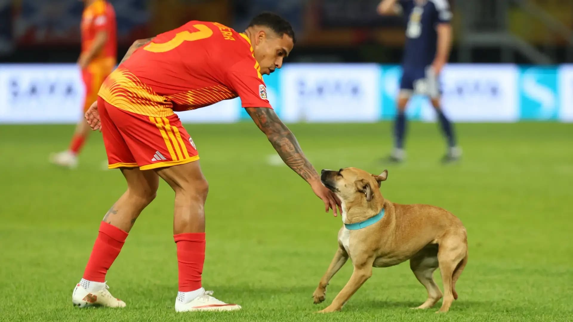 EURO Nations League: Dog Interrupts Scotland-North Macedonia