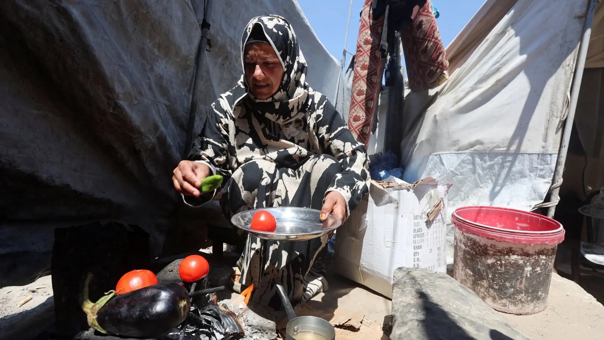 Severe Hunger to Impact 67% of Gaza Population