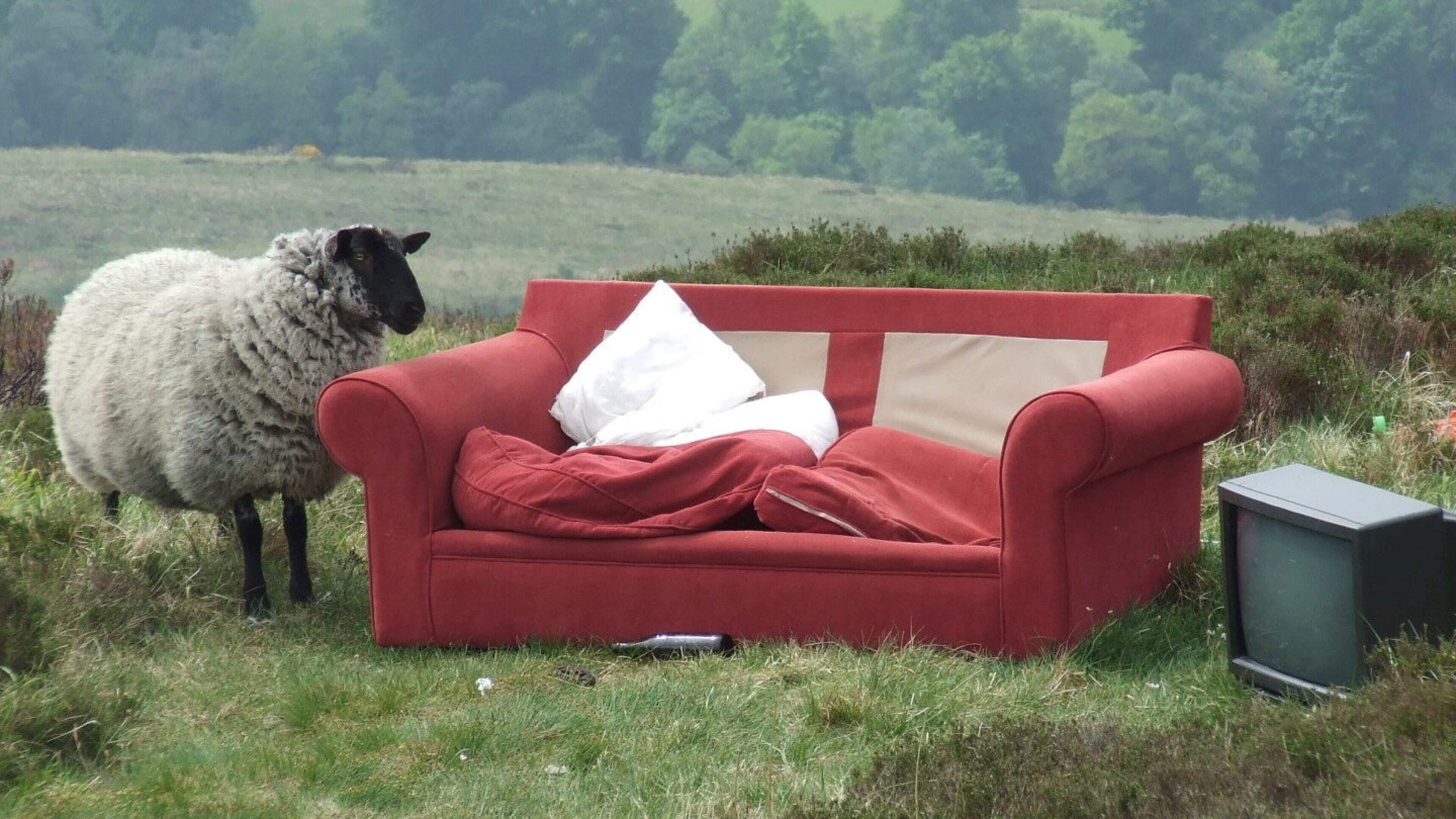 Wicklow/Dublin Uplands secures funding after reducing illegal dumping