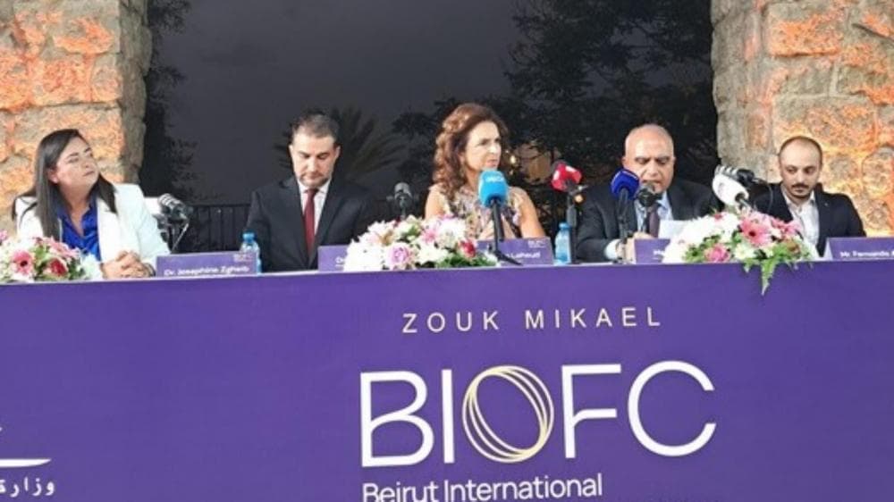 Lahoud Emphasizes Security and Stability