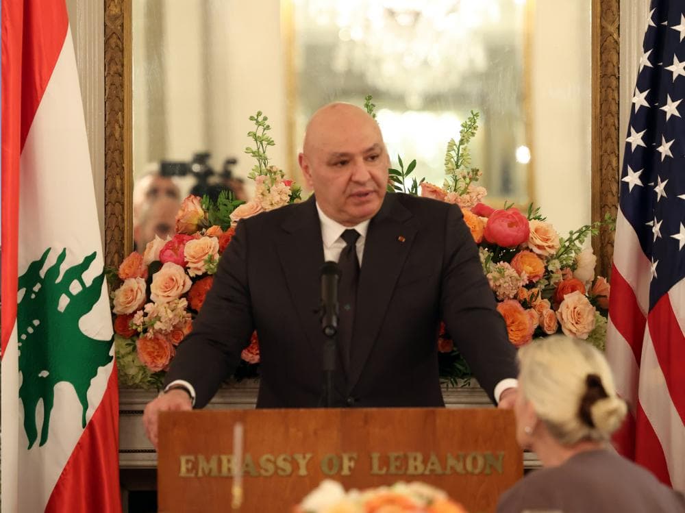 Washington backs disarmament to establish authority