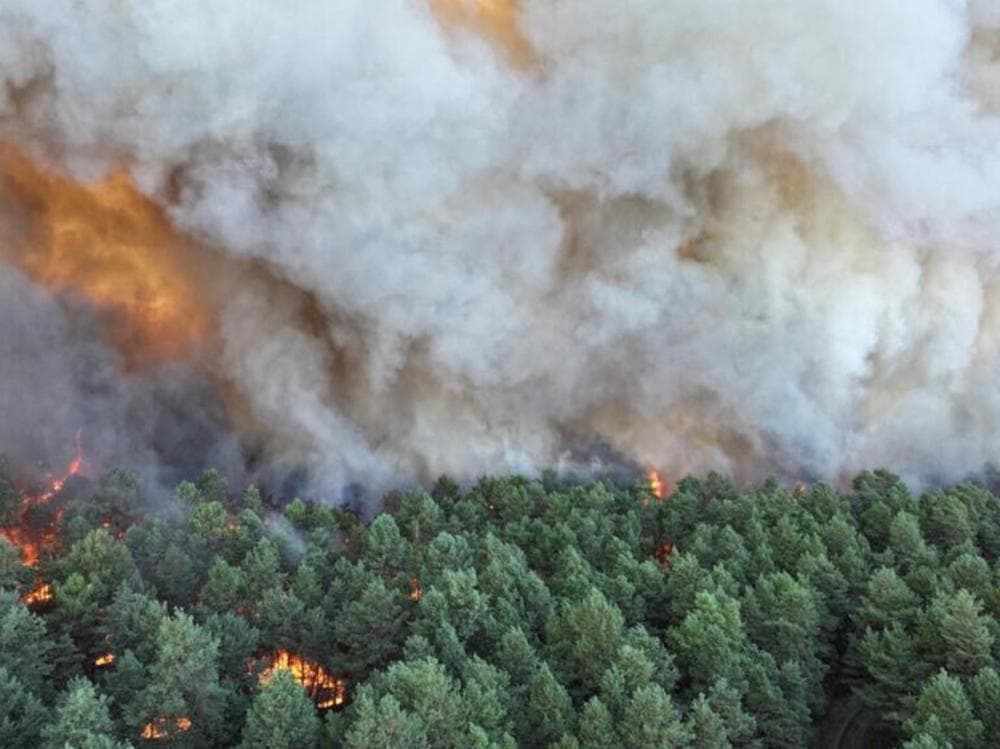 Southern France fires cause evacuations