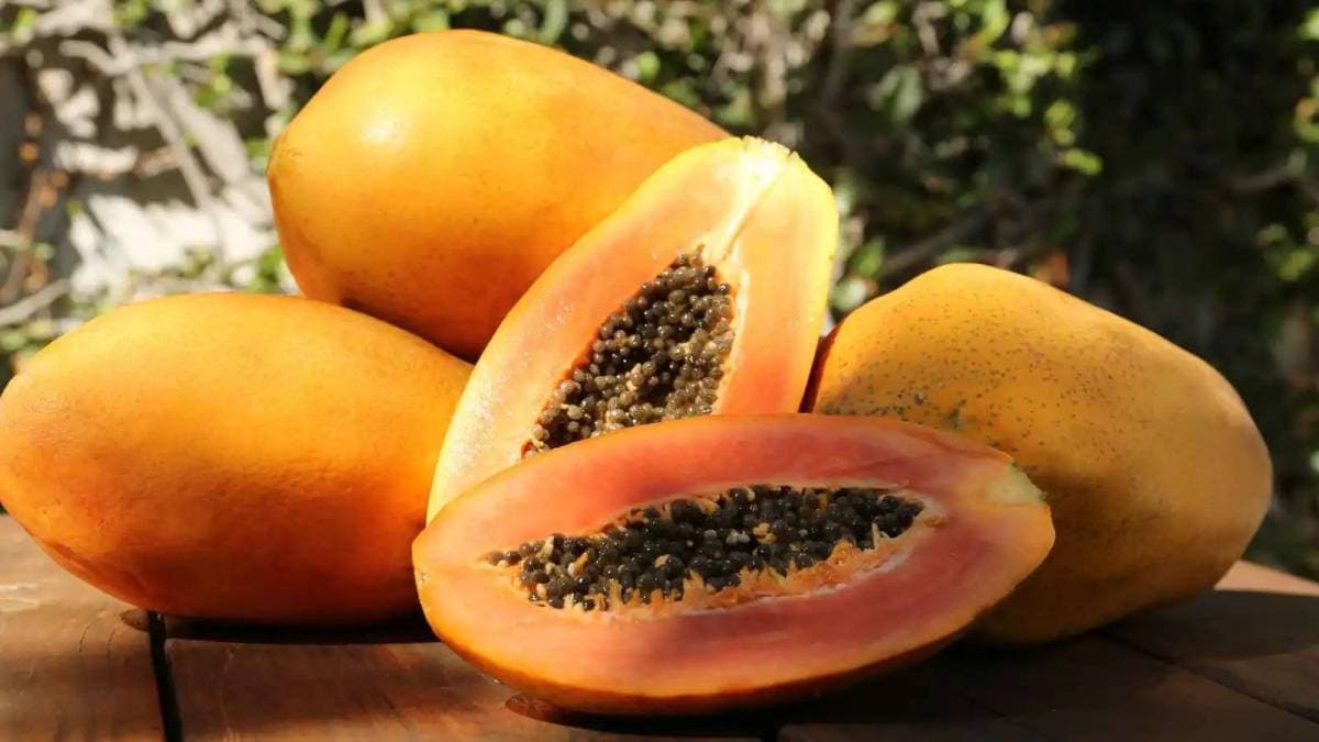 Effects of daily papaya consumption over a month
