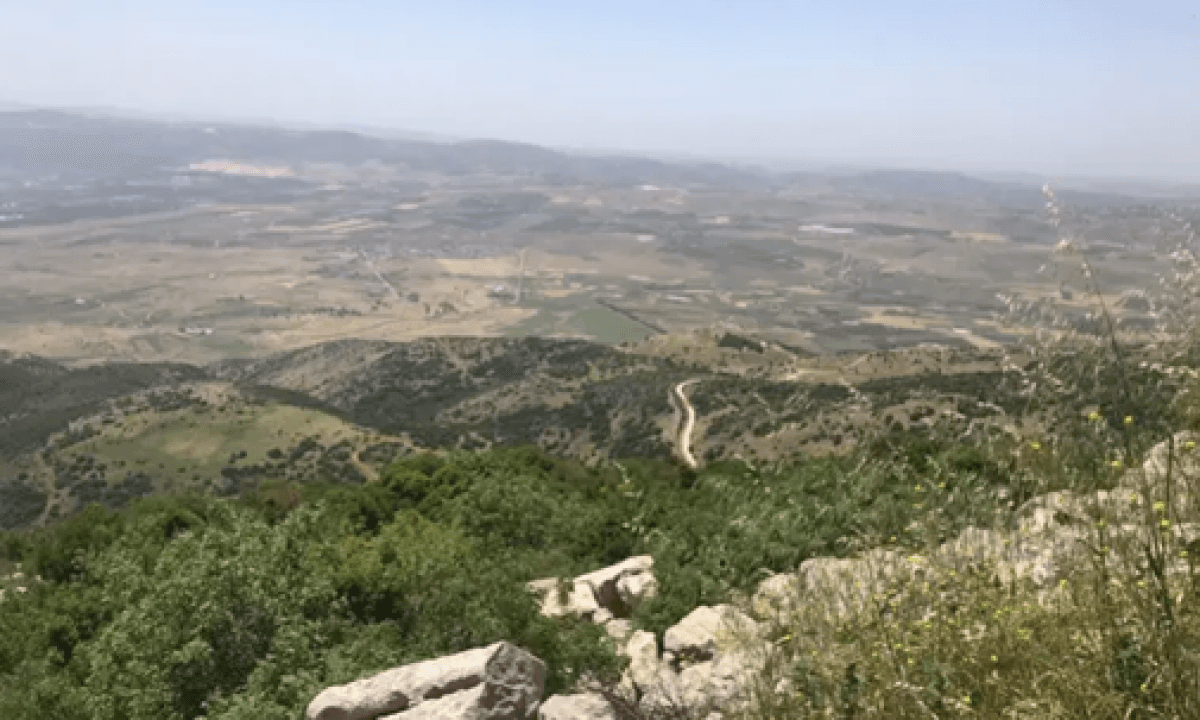 Occupation frees three Lebanese in Shabaa
