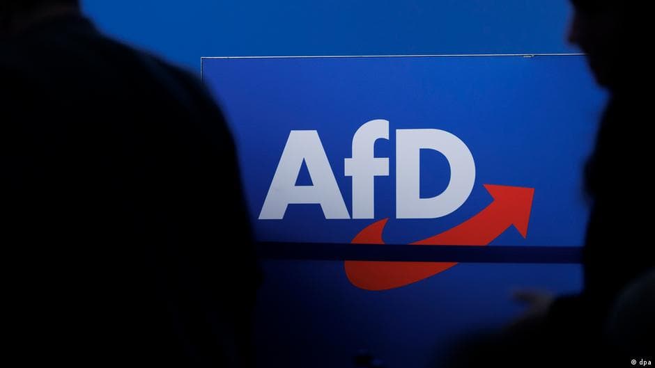 Alternative Party challenges giants in Germany