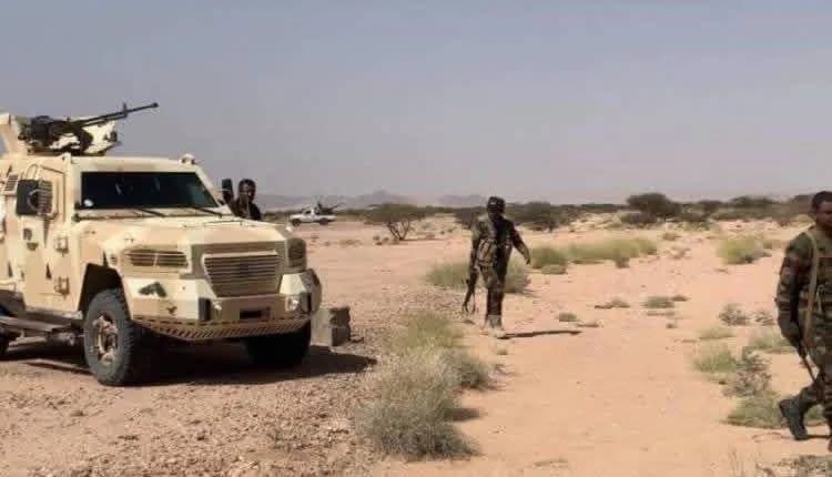 Yemeni forces renew hopes to end Houthis