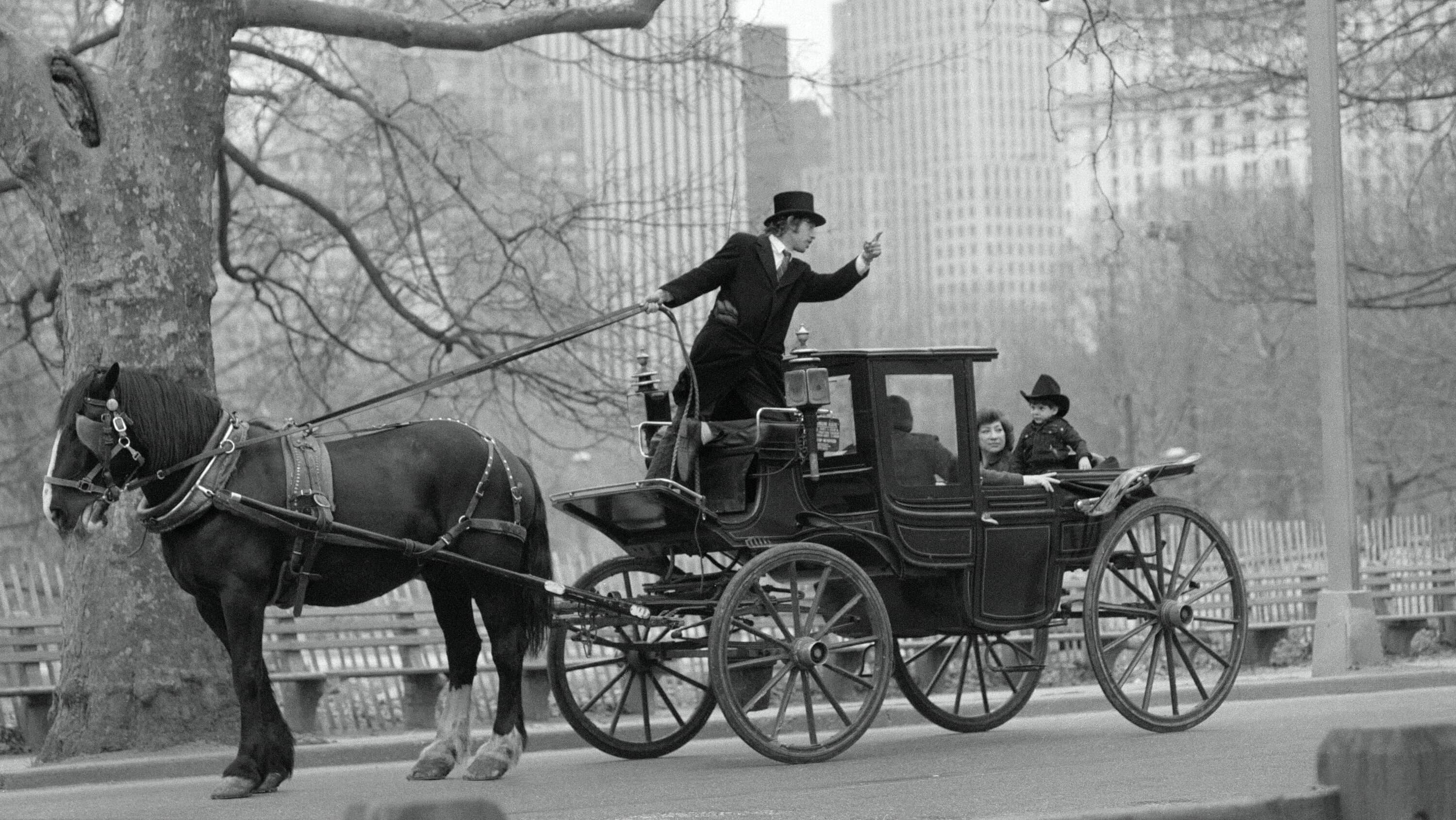 The History of Carriage Horses in Central Park