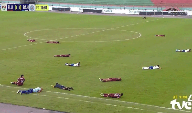 Bees Stop Soccer Match in Brazil