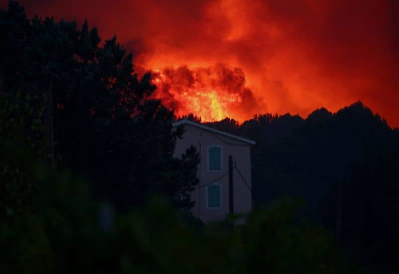 Forest fire in eastern England poses no threat to nuclear plant